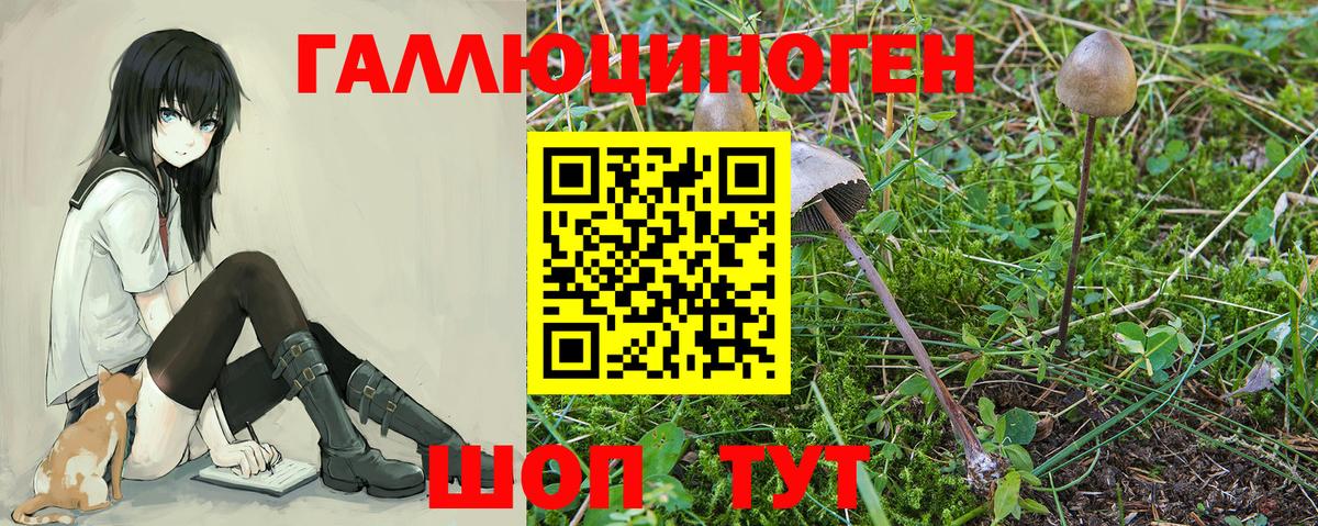 Псилоцибиновые грибы мицелий Коммунар