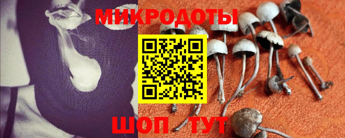 Коммунар  Псилоцибиновые грибы мицелий  Вход с VPN 